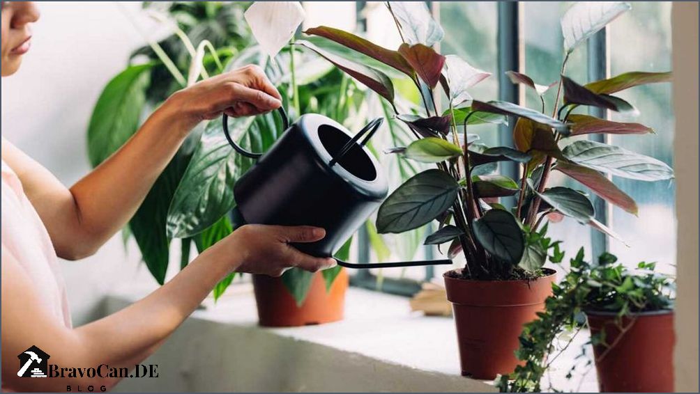 Pflanze mit Mineralwasser gießen - Tipps und Vorteile Pflanze mit Mineralwasser gießen - Tipps und Vorteile