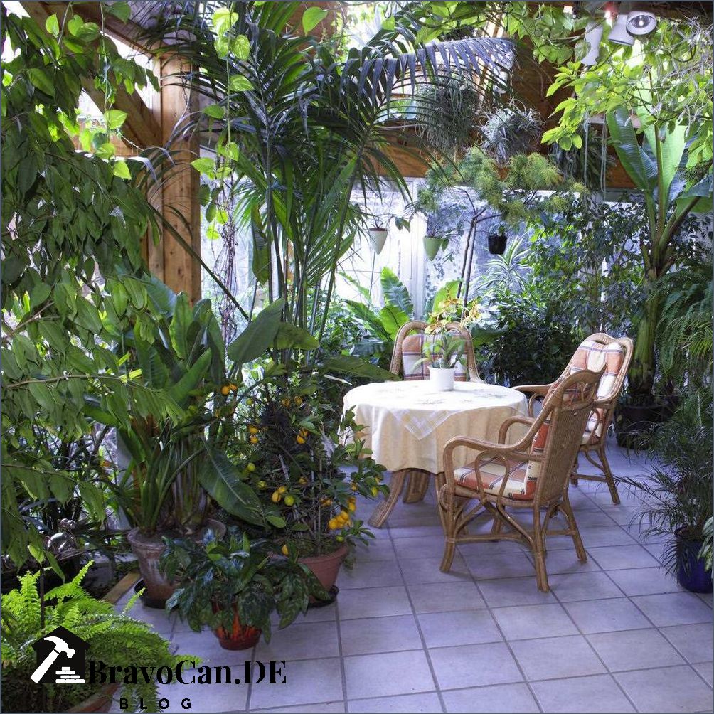 Pflanzen für den unbeheizten Wintergarten Tipps und Empfehlungen