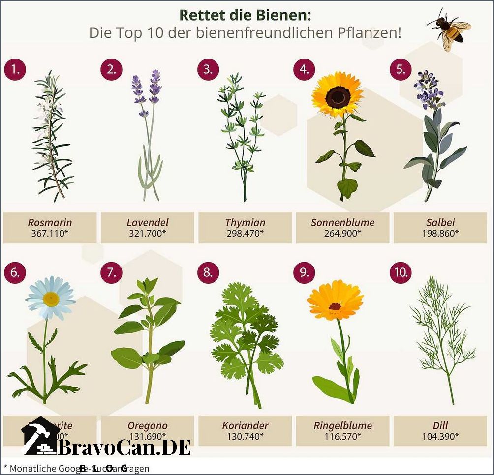 Pflanzen mit A Eine Übersicht über die beliebtesten Pflanzenarten Pflanzen mit A Eine Übersicht über die beliebtesten Pflanzenarten