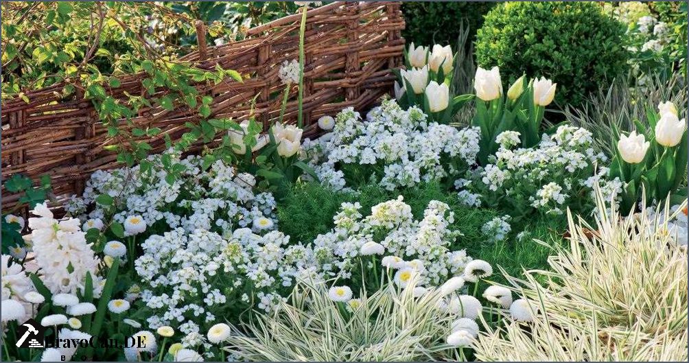 Pflanzen mit weißen Blüten Eine Übersicht der schönsten Sorten