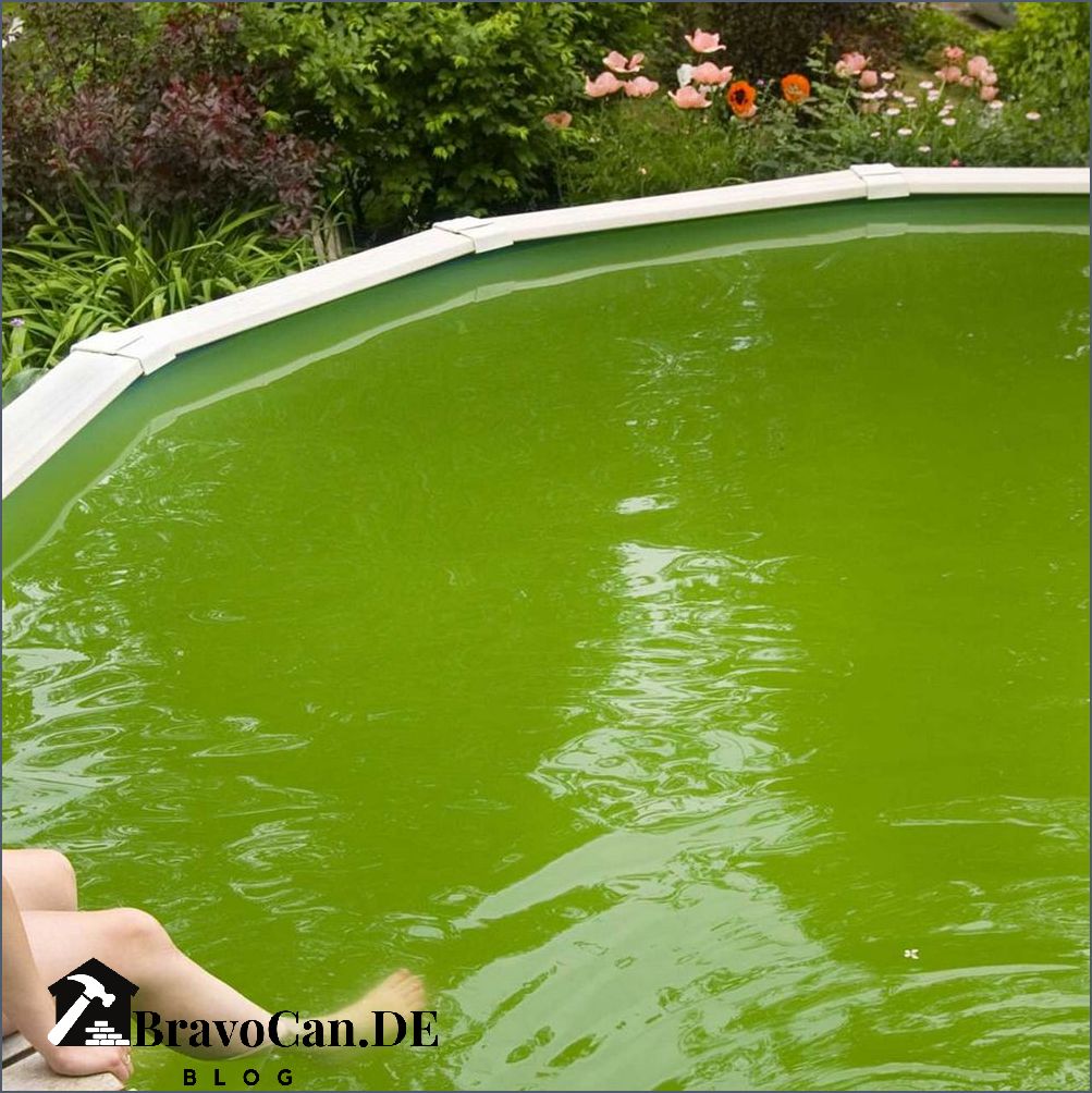 Pool Algen entfernen Effektive Methoden zur Poolreinigung