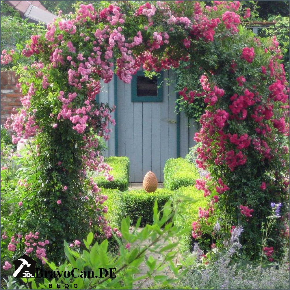 Rankhilfe Rosen Hauswand Tipps für das Wachstum und die Pflege Rankhilfe Rosen Hauswand Tipps für das Wachstum und die Pflege