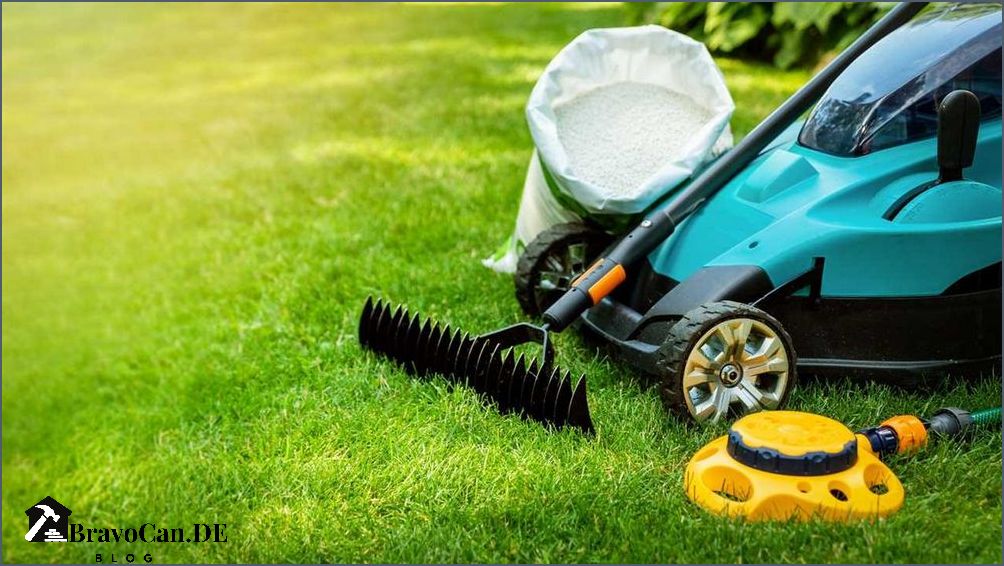 Rasen lüften im Frühjahr Tipps und Tricks für eine gesunde Rasenpflege