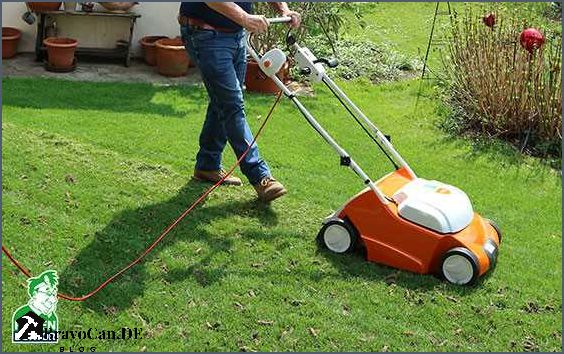 Rasen lüften im Frühjahr Tipps und Tricks für eine gesunde Rasenpflege