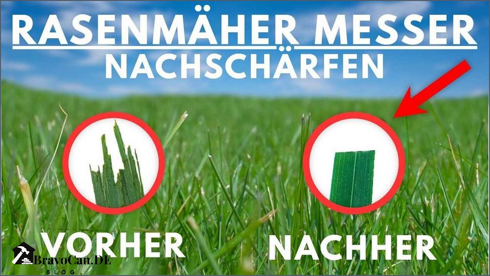 Rasenmäher Messer schärfen - Tipps und Tricks für eine effektive Rasenpflege