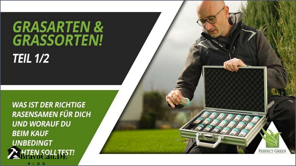 Rasensamen einhaken oder nicht Tipps und Tricks Rasensamen einhaken oder nicht Tipps und Tricks