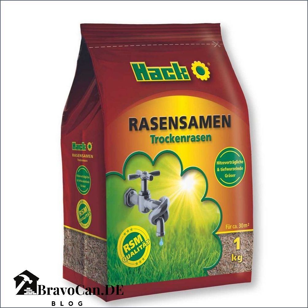 Rasensamen einhaken oder nicht Tipps und Tricks Rasensamen einhaken oder nicht Tipps und Tricks
