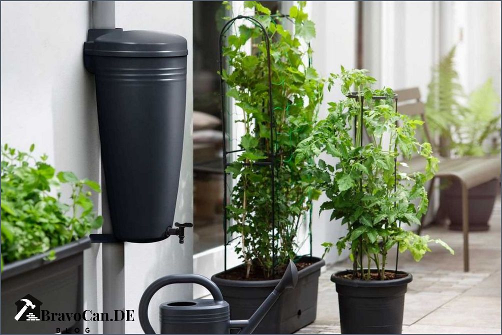 Regenwasser sammeln DIY Tipps und Anleitungen für die eigene Regenwassernutzung