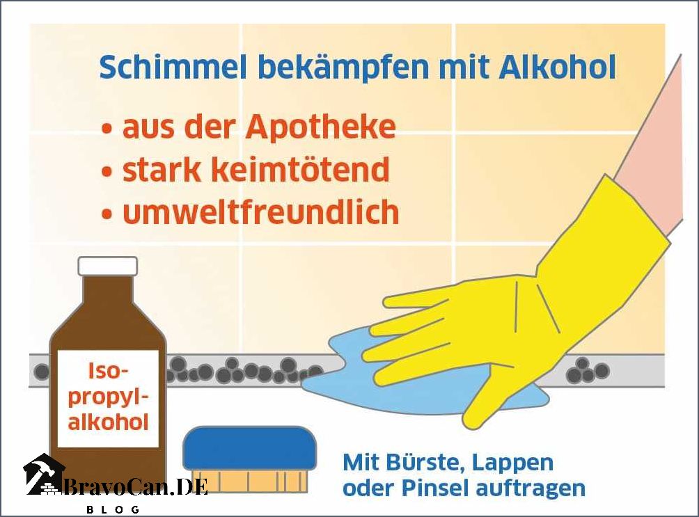 Reiner Alkohol gegen Schimmel effektive Lösung für Schimmelprobleme Reiner Alkohol gegen Schimmel effektive Lösung für Schimmelprobleme