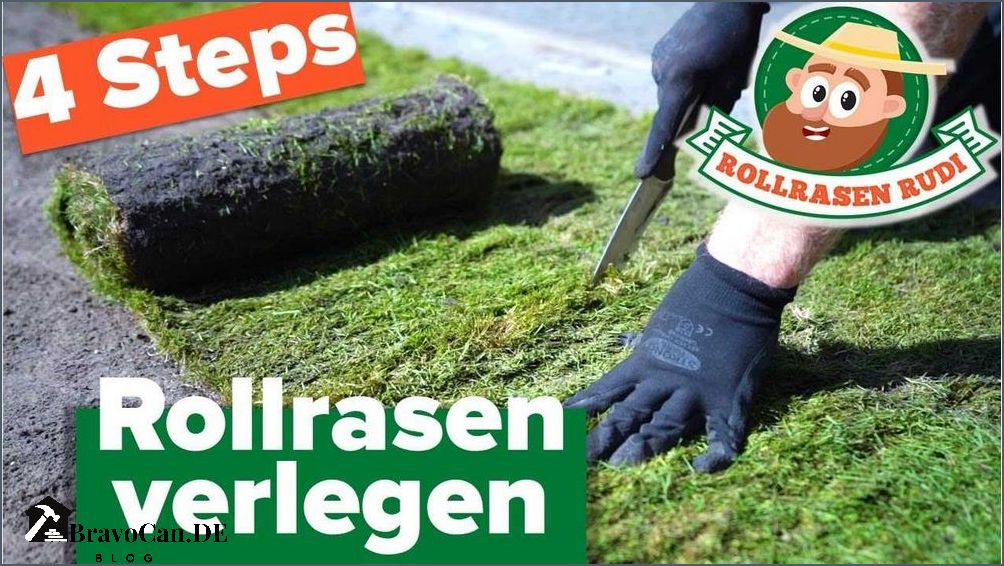 Rollrasen verlegen Tipps und Tricks für einen perfekten Rasen Rollrasen verlegen Tipps und Tricks für einen perfekten Rasen