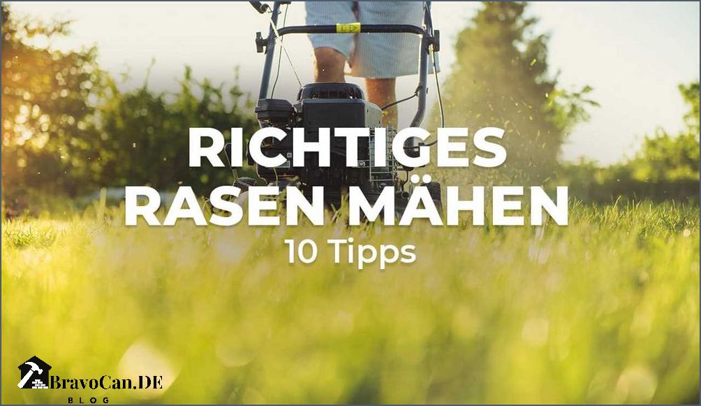 Rollrasen wann mähen - Tipps und Tricks für die richtige Rasenpflege Rollrasen wann mähen - Tipps und Tricks für die richtige Rasenpflege