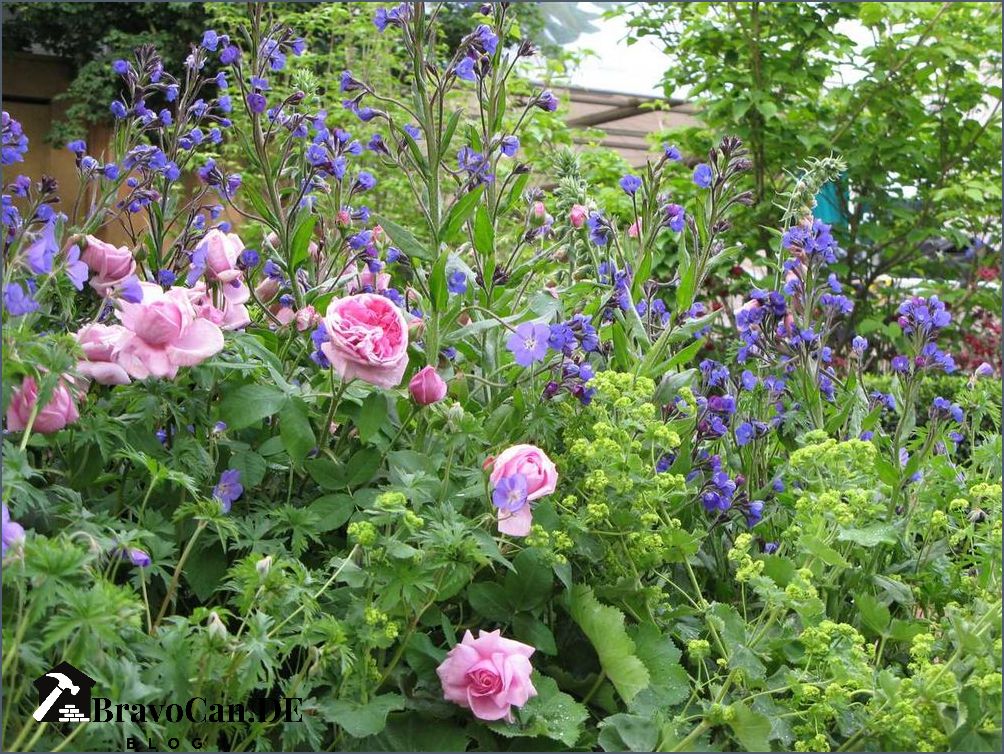 Rosen unterpflanzen mit Bodendeckern - ein Leitfaden für schöne Beete