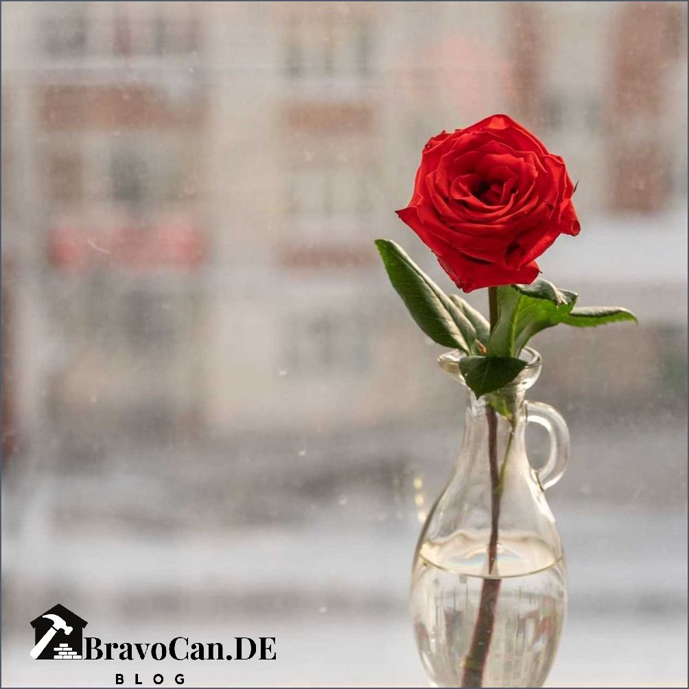 Rosen vermehren im Wasserglas - Einfache Anleitung
