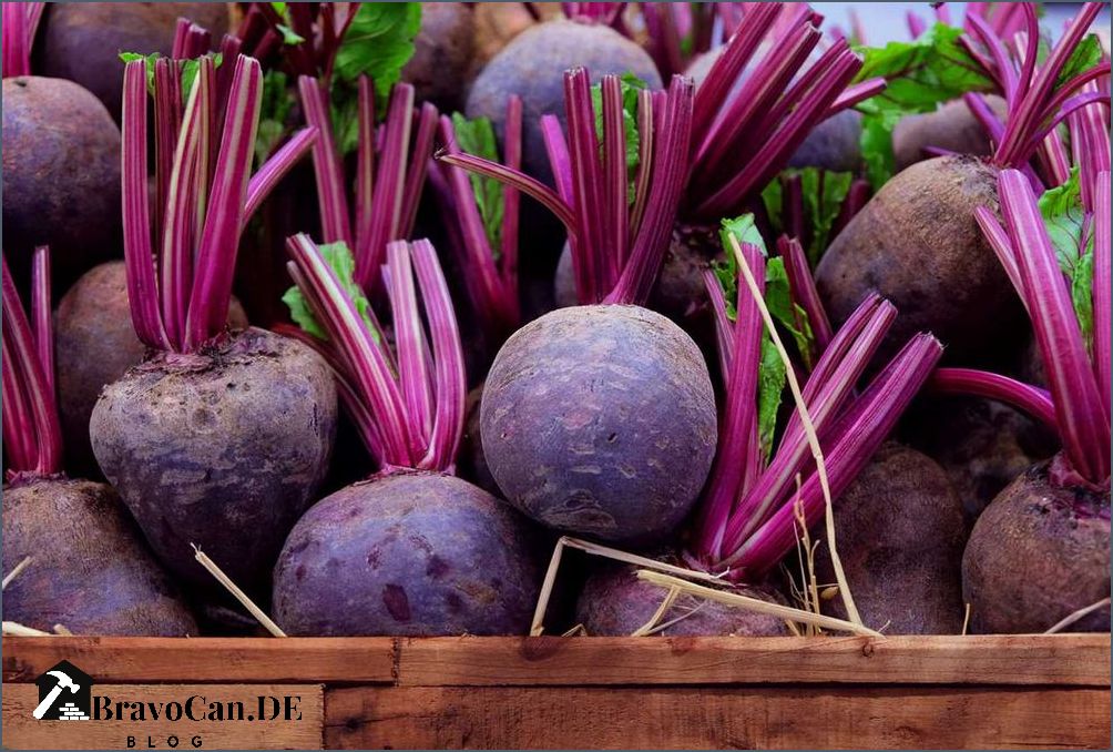 Rote Bete Frost Tipps zur Lagerung und Verwendung