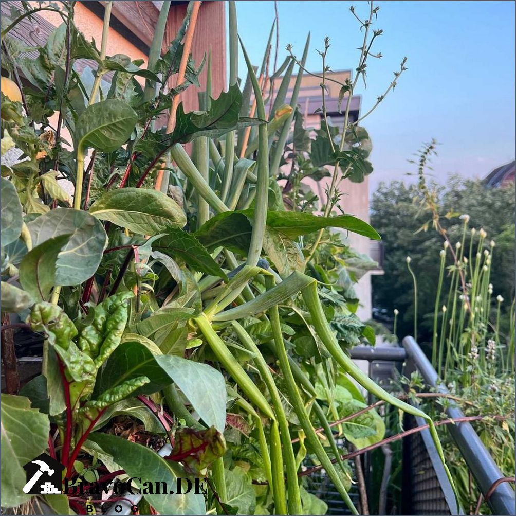 Salat im Hochbeet Tipps für den erfolgreichen Anbau Salat im Hochbeet Tipps für den erfolgreichen Anbau