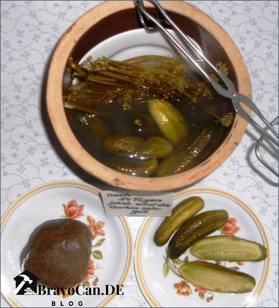 Salzgurken im Glas einlegen Leichtes Rezept für selbstgemachte Gurken ... Salzgurken im Glas einlegen Leichtes Rezept für selbstgemachte Gurken ...