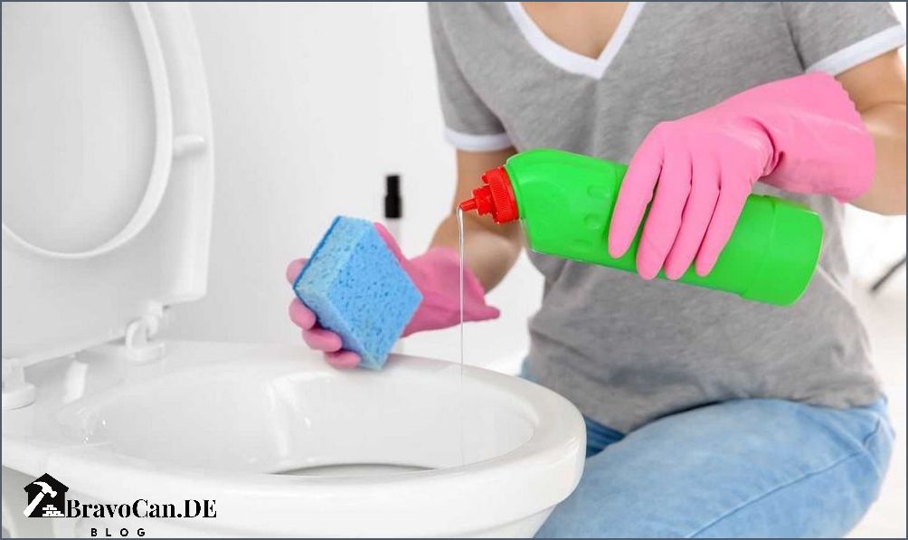 Sanivite 3 reinigen Tipps und Tricks für eine gründliche Reinigung Sanivite 3 reinigen Tipps und Tricks für eine gründliche Reinigung