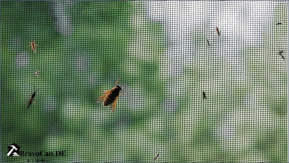 Schiebe Fliegengitter für Fenster – Schutz vor Insekten einfach und effektiv Schiebe Fliegengitter für Fenster – Schutz vor Insekten einfach und effektiv