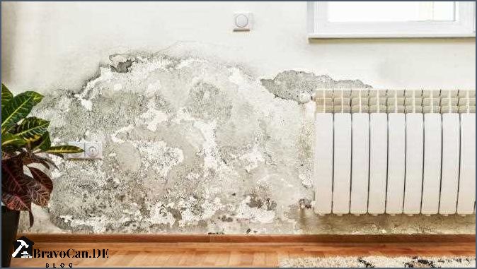 Schimmel am Fenster gefährlich Ursachen Auswirkungen und Lösungen