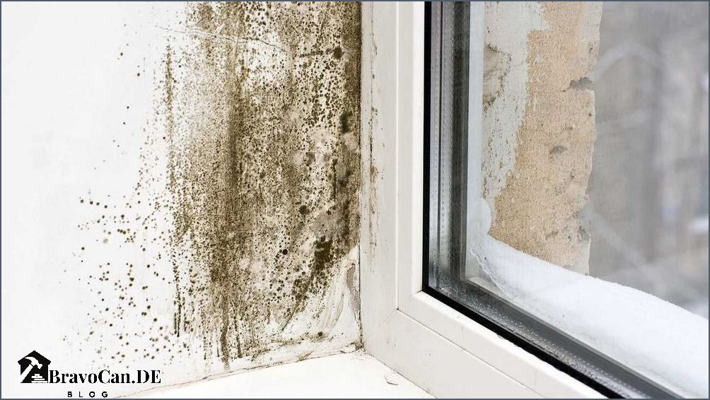 Schimmel am Fenster gefährlich Ursachen Auswirkungen und Lösungen
