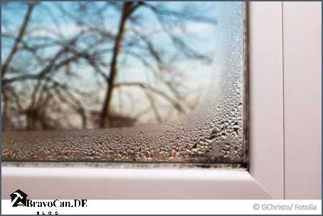 Schimmel am Fenster gefährlich Ursachen Auswirkungen und Lösungen