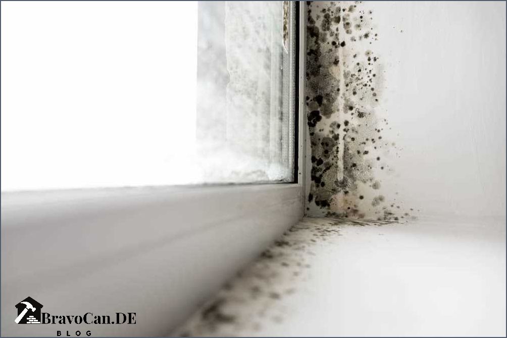 Schimmel am Fenster vorbeugen Tipps und Tricks Schimmel am Fenster vorbeugen Tipps und Tricks