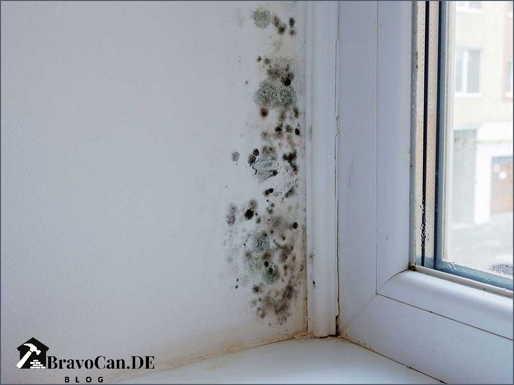 Schimmel am Fenster vorbeugen Tipps und Tricks Schimmel am Fenster vorbeugen Tipps und Tricks