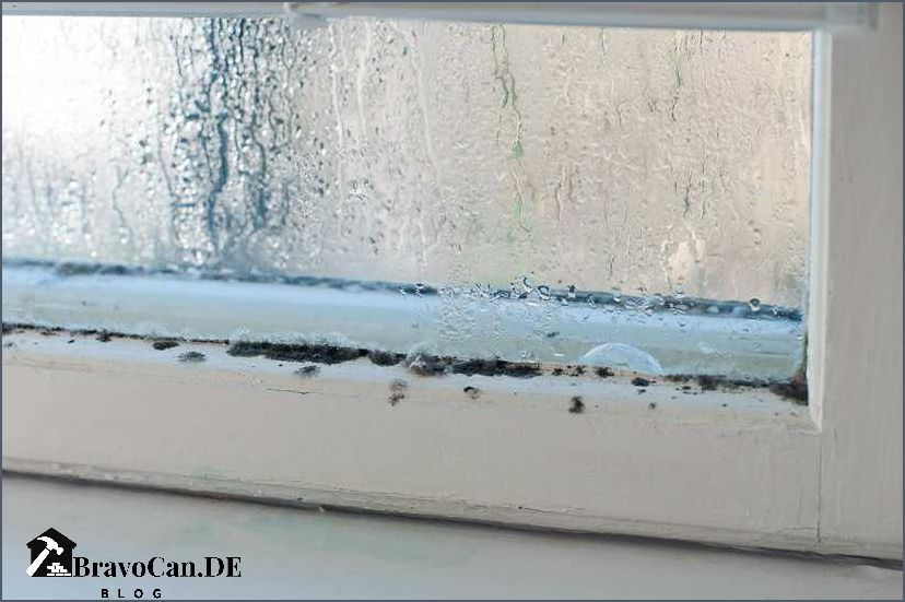 Schimmel am Fenster vorbeugen Tipps und Tricks Schimmel am Fenster vorbeugen Tipps und Tricks