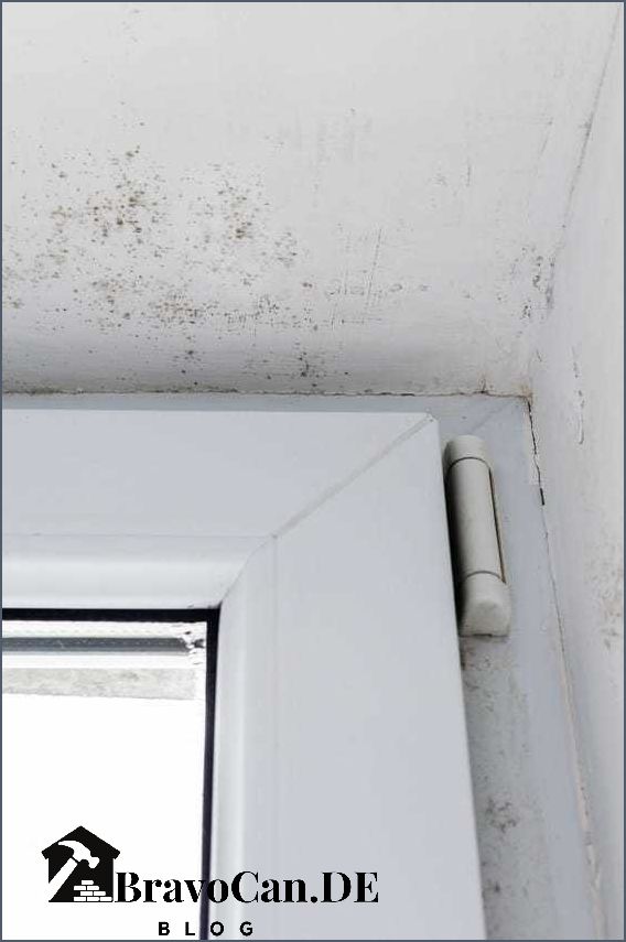 Schimmel am Fenster vorbeugen Tipps und Tricks Schimmel am Fenster vorbeugen Tipps und Tricks