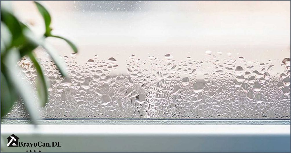 Warum beschlagen Fenster bei Kälte von innen Tipps zur Vermeidung
