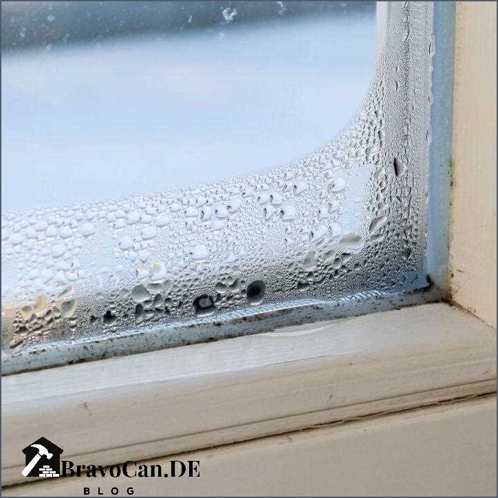 Warum werden Fenster im Winter immer nass Tipps zur Vermeidung von Feuchtigkeit