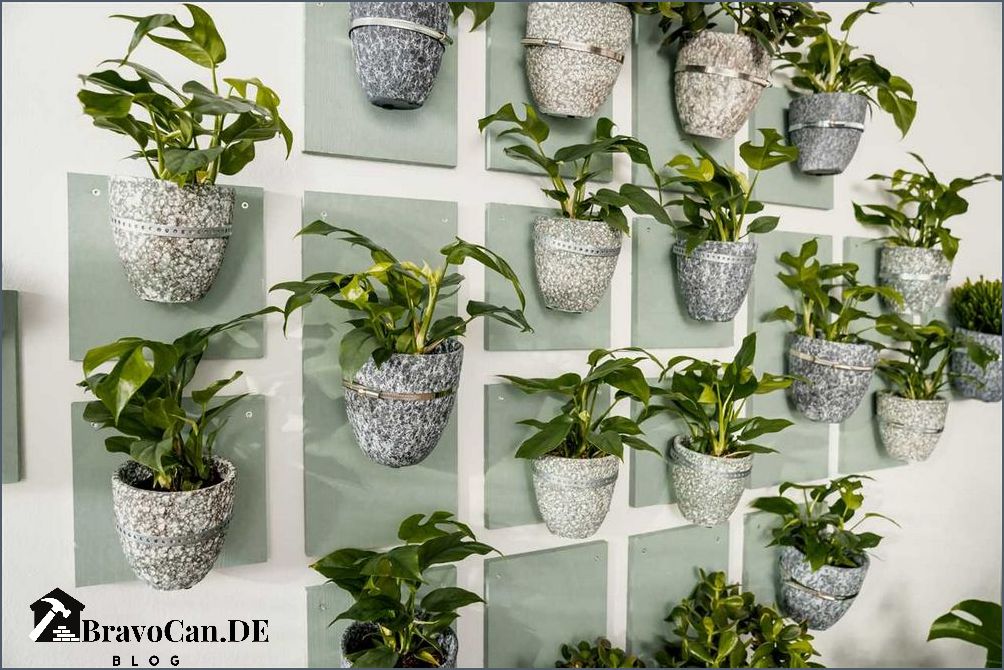 Pflanzen an der Wand befestigen Tipps und Tricks für grüne Dekoration Pflanzen an der Wand befestigen Tipps und Tricks für grüne Dekoration