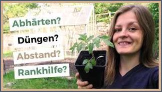 Rankhilfe für Tomaten Tipps und Tricks für gesunde und ertragreiche Pflanzen Rankhilfe für Tomaten Tipps und Tricks für gesunde und ertragreiche Pflanzen
