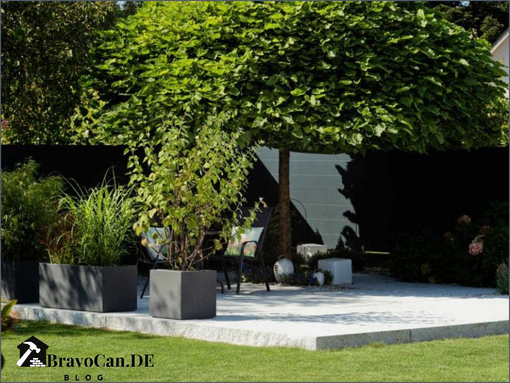 Säulenbaum für kleinen Garten Tipps und Ideen für die Auswahl und Pflege Säulenbaum für kleinen Garten Tipps und Ideen für die Auswahl und Pflege