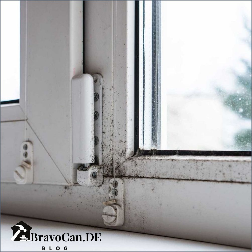 Schimmel am Fenstergummi Ursachen Vorbeugung und Entfernung Schimmel am Fenstergummi Ursachen Vorbeugung und Entfernung