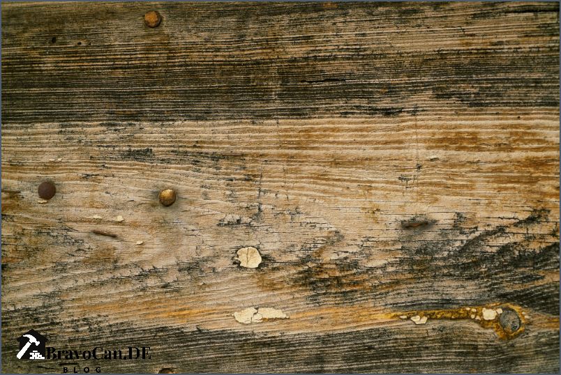 Schimmel an Holzbalken entfernen - Tipps und Anleitungen Schimmel an Holzbalken entfernen - Tipps und Anleitungen
