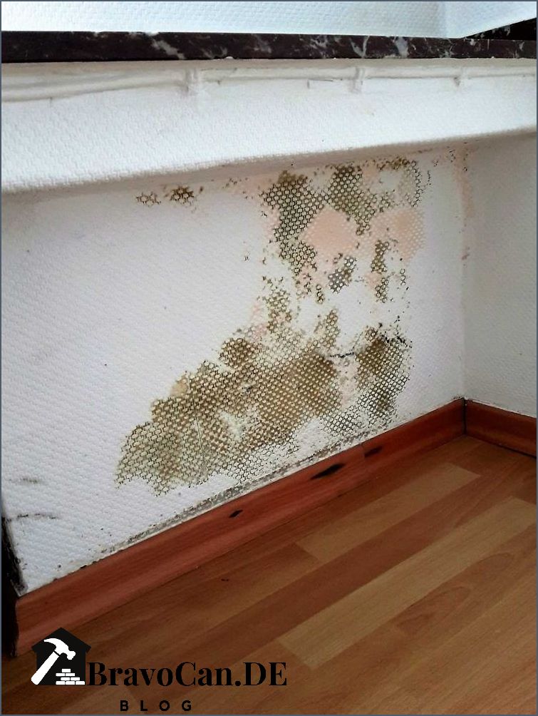 Rigips Auf Osb Schimmel
