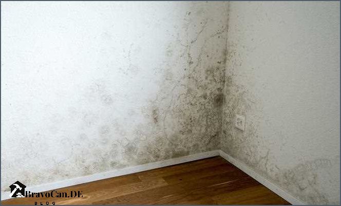 Graue Flecken An Der Wand