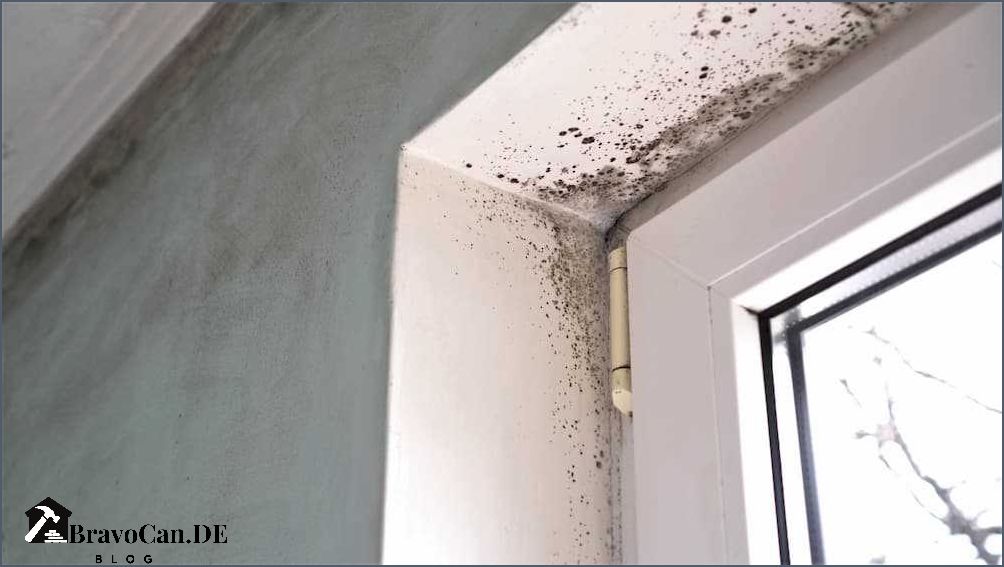 Schimmel hinter Tapete Ursachen Vorbeugung und Beseitigung