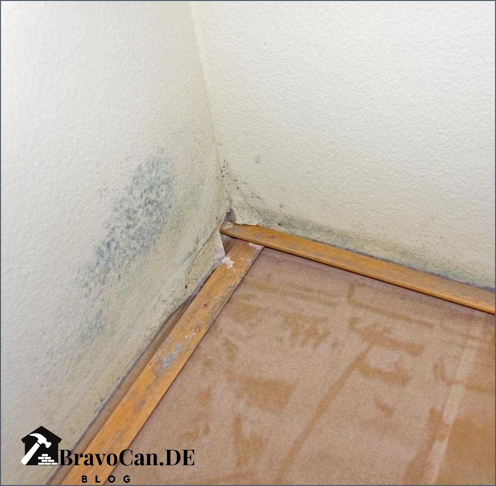 Schimmel Unter Der Tapete Erkennen