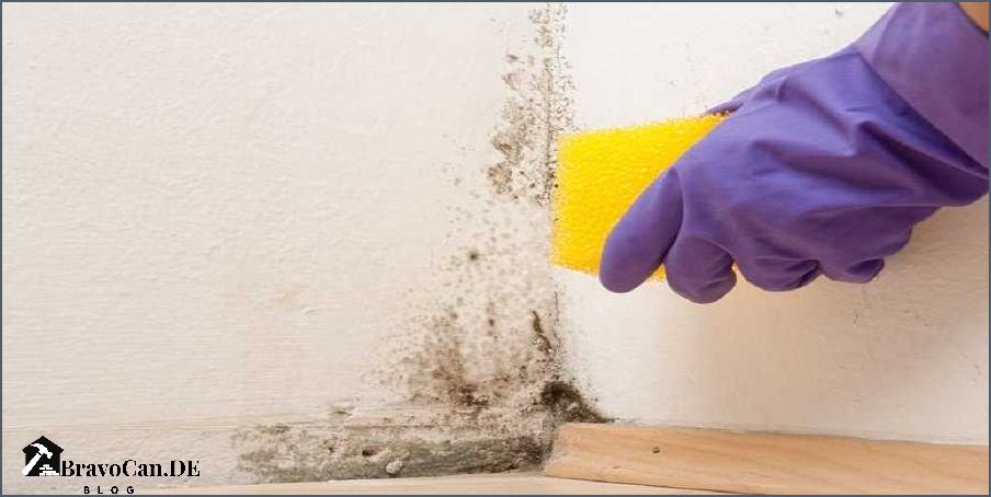 Schimmel in der Wand Was tun Tipps und Tricks zur Schimmelbekämpfung Schimmel in der Wand Was tun Tipps und Tricks zur Schimmelbekämpfung