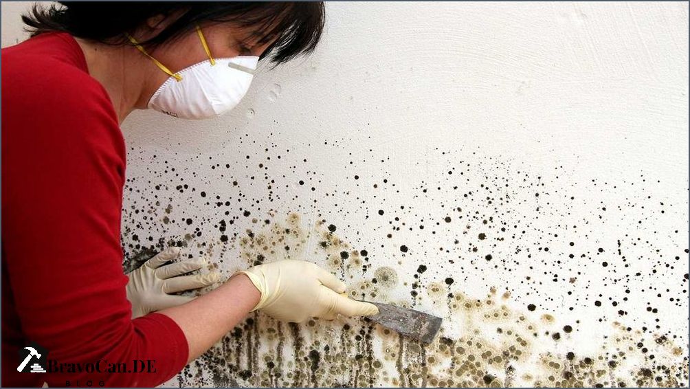 Schimmel in der Wand Was tun Tipps und Tricks zur Schimmelbekämpfung Schimmel in der Wand Was tun Tipps und Tricks zur Schimmelbekämpfung