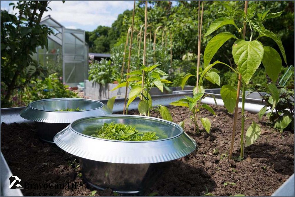 Schnecken im Hochbeet Tipps zur Schneckenbekämpfung in Ihrem Garten