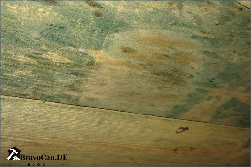 Schwarze Flecken auf Holz Schimmel erkennen und entfernen Schwarze Flecken auf Holz Schimmel erkennen und entfernen