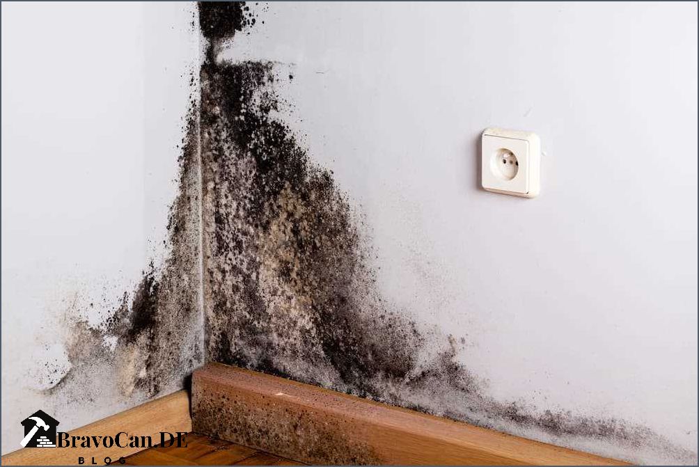 Schwarzer Schimmel auf Holz Gefährliche Auswirkungen und Lösungen Schwarzer Schimmel auf Holz Gefährliche Auswirkungen und Lösungen