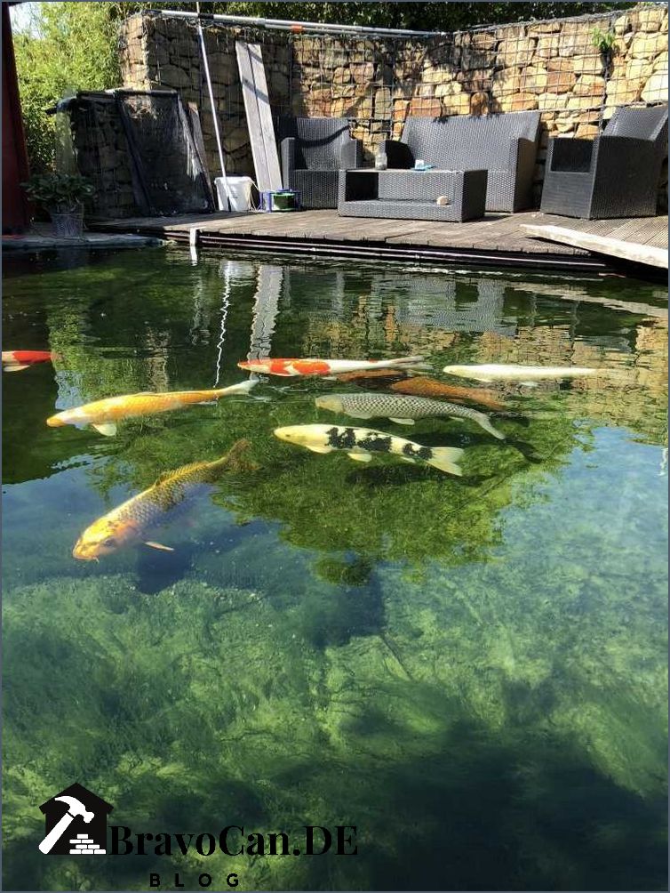 So bekommen Sie Ihren Teich wieder klar
