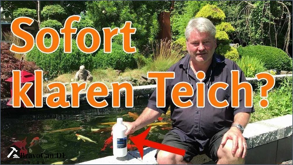 So bekommen Sie Ihren Teich wieder klar