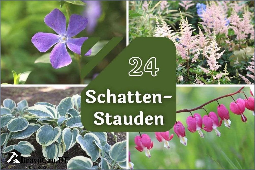 Stauden für Schatten - Die besten Pflanzen für schattige Standorte Stauden für Schatten - Die besten Pflanzen für schattige Standorte