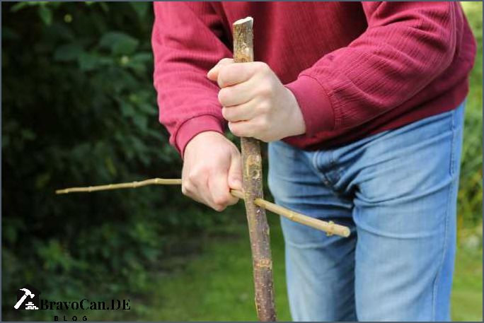 Staudenhalter selber machen Tipps und Anleitungen für kreative Gartenliebhaber