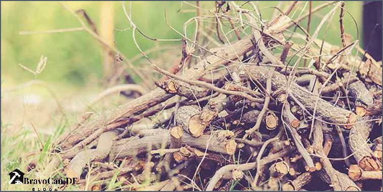 Staudenhalter selber machen Tipps und Anleitungen für kreative Gartenliebhaber
